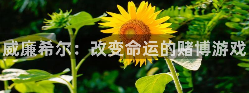 壹号大舞台有梦你就来