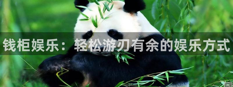 壹号大舞台怎么注册