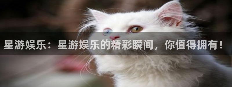 先锋娱乐能退款吗