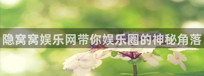 壹号app下载官方网站