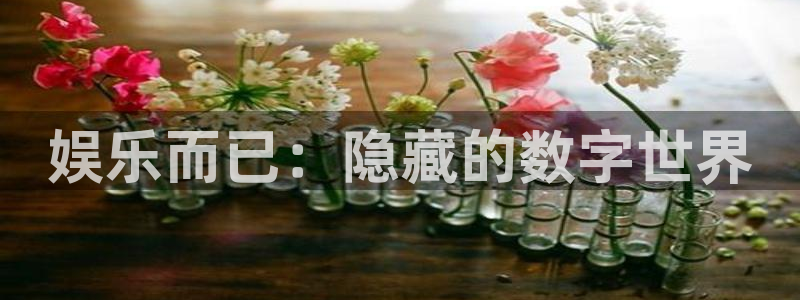 先锋娱乐app官网下载