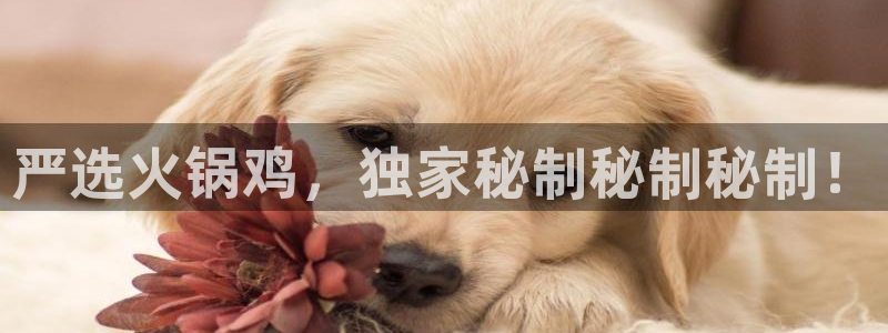 先锋娱乐app