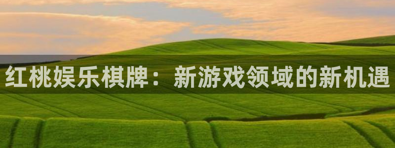 先锋娱乐app官网下载