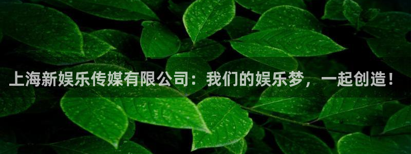 壹号电子娱乐app下载最新版本