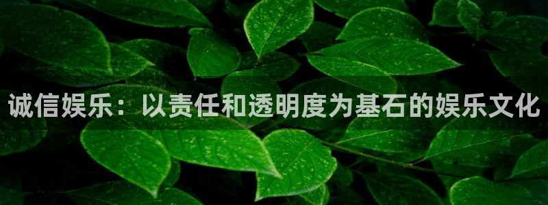 先锋娱乐官网