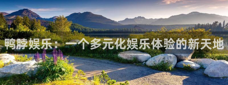 壹号平台下载安装