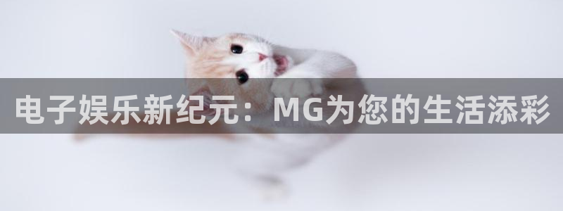 先锋娱乐官网
