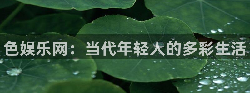 先锋娱乐app下载
