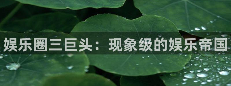 壹号大舞台,有梦你就来