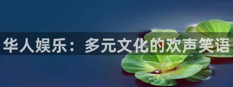 先锋娱乐app下载地址