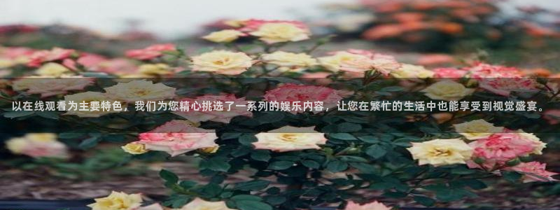先锋娱乐怎么下载