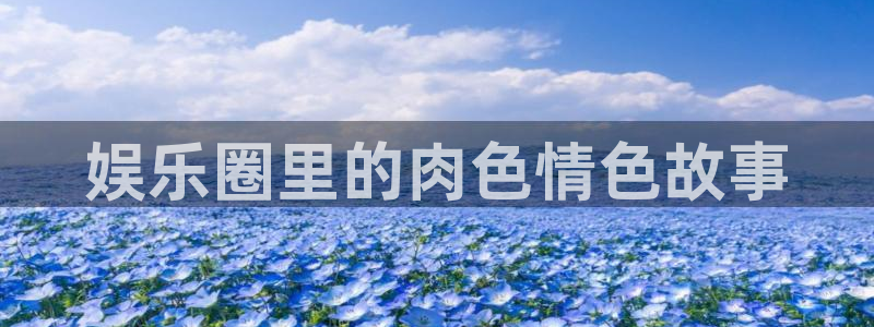 壹号电子娱乐app下载安装