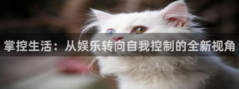先锋娱乐,apk