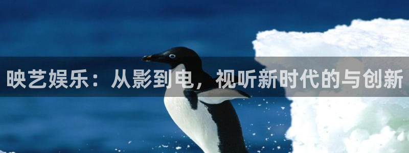 先锋娱乐强制退款流程详解