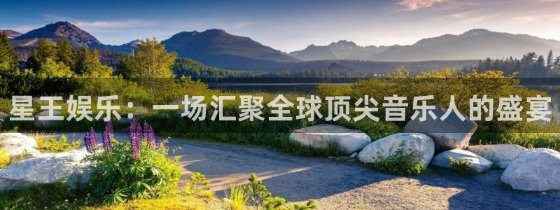 先锋娱乐下载：星王娱乐：一场汇聚全球顶尖音乐人的盛宴