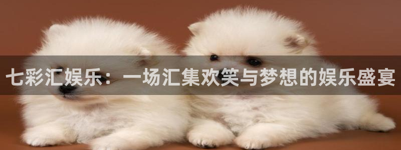 壹号大舞台怎么注册：七彩汇娱乐：一场汇集欢笑与梦想的娱乐盛宴