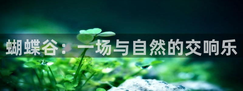 壹号官方app下载安装：蝴蝶谷：一场与自然的交响乐
