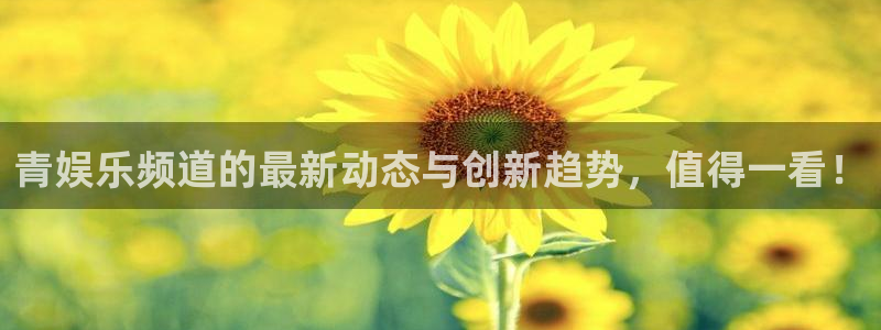 壹号大舞台,有梦你就来：青娱乐频道的最新动态与创新趋势，值得一看！