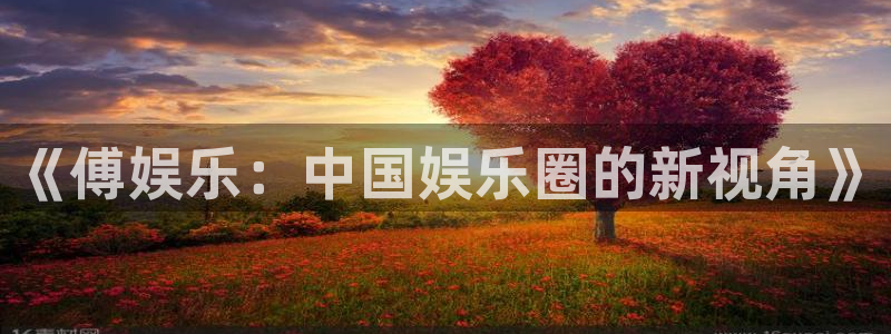 先锋娱乐平台app下载：《傅娱乐：中国娱乐圈的新视角》
