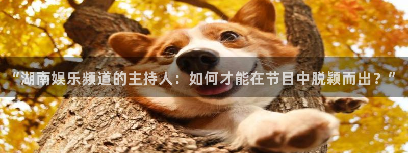 先锋娱乐怎么下载：“湖南娱乐频道的主持人：如何才能在节目中脱颖而出？”