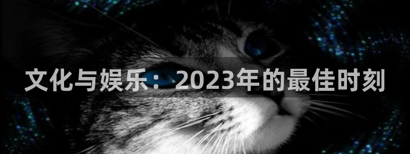 先锋娱乐app下载官网：文化与娱乐：2023年的最佳时刻