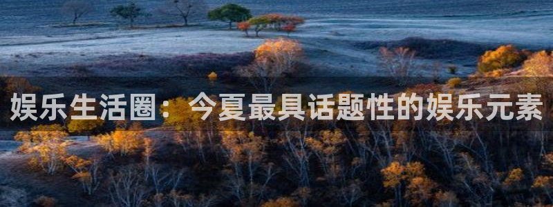 先锋娱乐app下载安装：娱乐生活圈：今夏最具话题性的娱乐元素